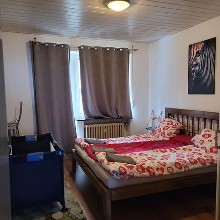 Apartments Nikol - Ludwigshafen Dış mekan fotoğraf